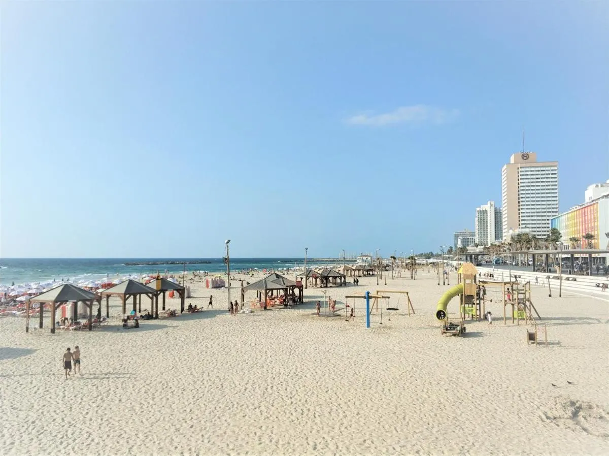 Image 3 of Reines5 TLV