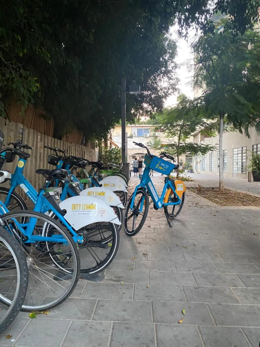 Image 2 of דירת סטודיו באווירת צימר במתחם נגה,דקה הליכה מהים.