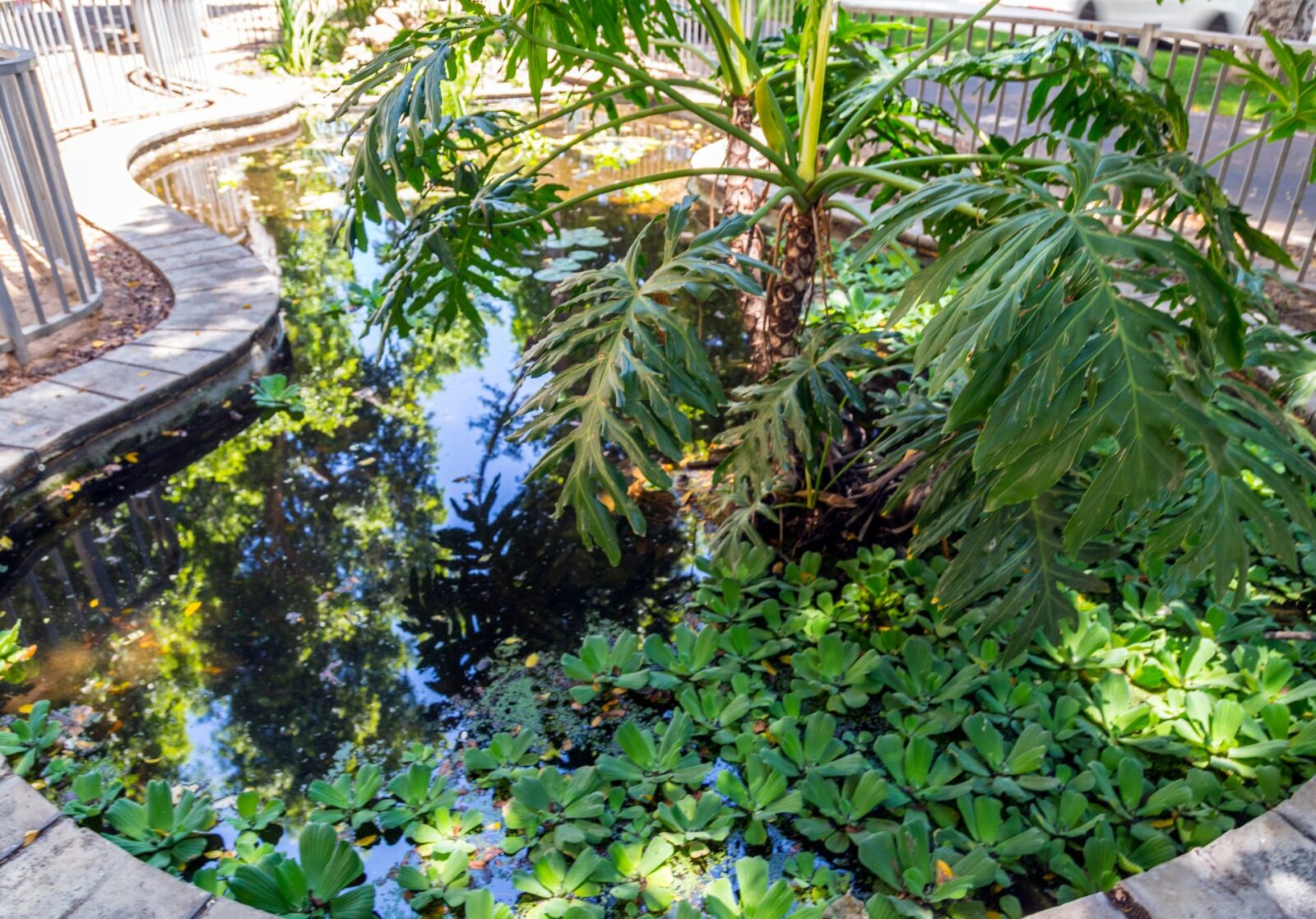 Rothschild Boulevard